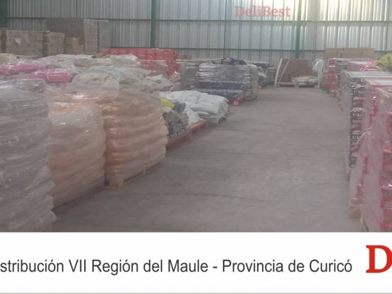 DeliBest Chile - Alimentacin de Escolares en la Provincia de Curic